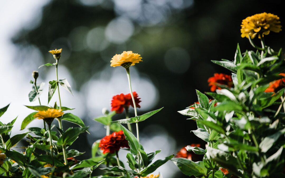 Advice to Newlyweds from a (Divorced) Pastor’s Wife